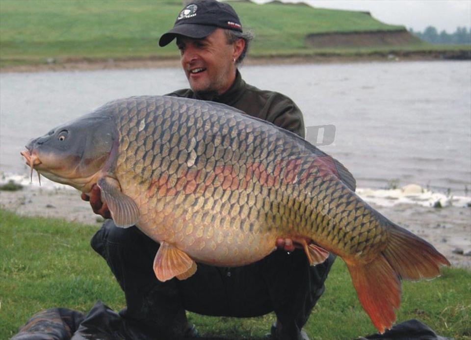 Crap record la Sarulesti - 27,50 kg